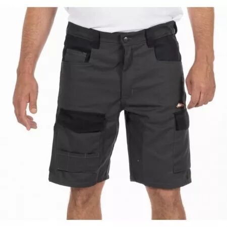 BERMUDA ELITE GRIS