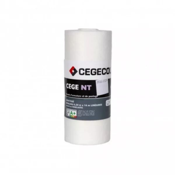 CEGE NT TAPE