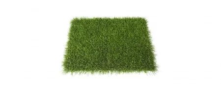 GAZON ELITE ECO APPLE