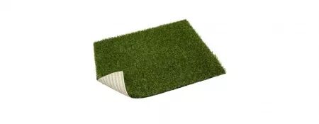 GAZON MONA ECO