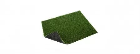 GAZON PETIT DUNE GREEN