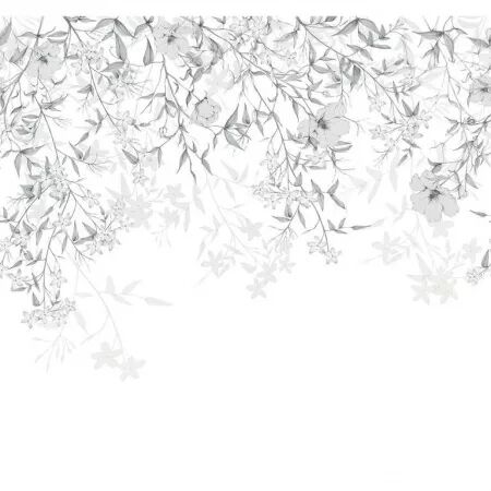PANORAMIQUE WONDERWALLS 2