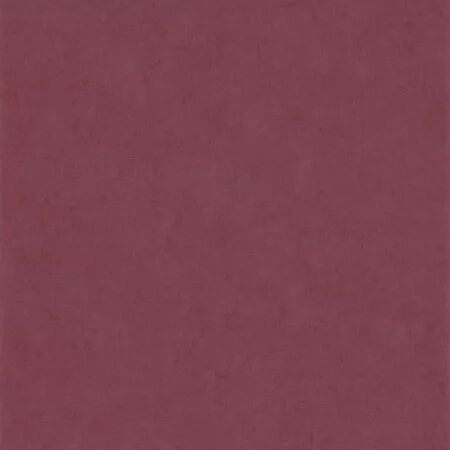 PAPIER PEINT BEAUTY FULL COLOR