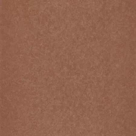 PAPIER PEINT BEAUTY FULL COLOR