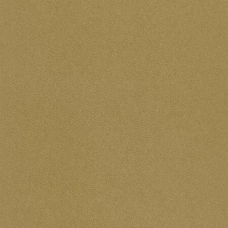 PAPIER PEINT BEAUTY FULL COLOR