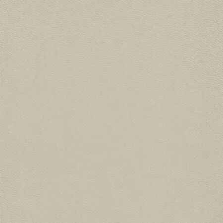 PAPIER PEINT BEAUTY FULL COLOR