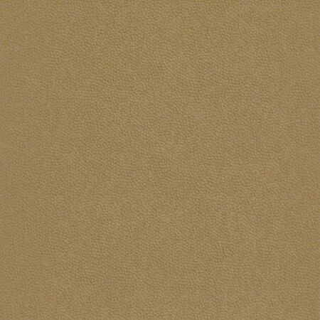 PAPIER PEINT BEAUTY FULL COLOR