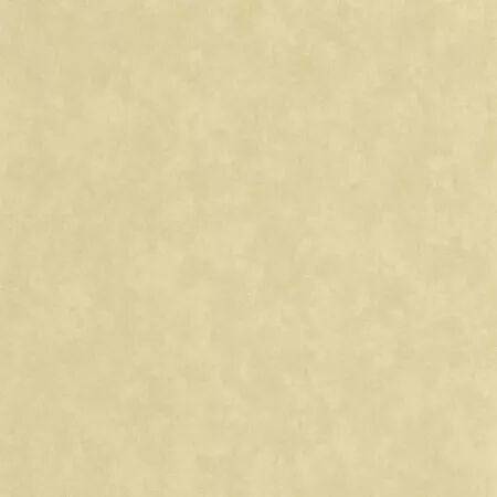 PAPIER PEINT ECHAPPEE BELLE