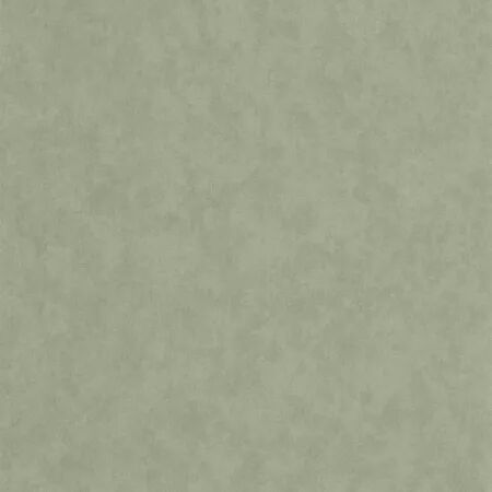 PAPIER PEINT ECHAPPEE BELLE