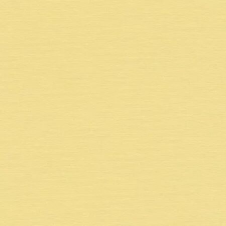 PAPIER PEINT LES ESSENTIELS 2027