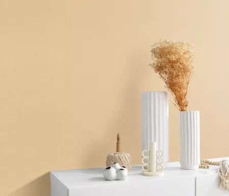 PAPIER PEINT RESIDENCE 2026-2027