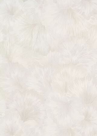 PAPIER PEINT RESIDENCE 2026-2027