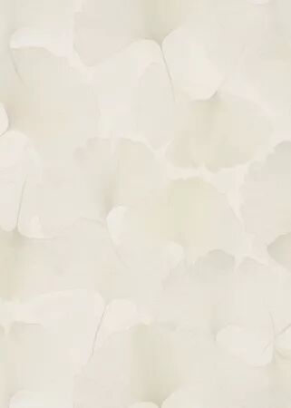 PAPIER PEINT RESIDENCE 2026-2027